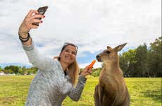 Melbourne 4G eSIM Card