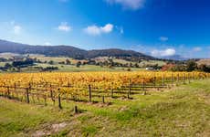 Yarra Valley Wine Tour