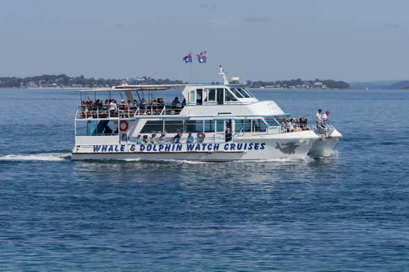 Excursion à Port Stephens + observation de dauphins