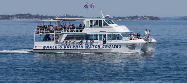 Tomaree Mountain Hike & Port Stephens Wildlife Cruise from Newcastle