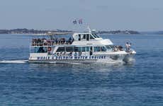 Escursione a Port Stephens + Avvistamento di delfini