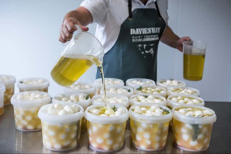 Degustaremos diferentes tipos de queijo
