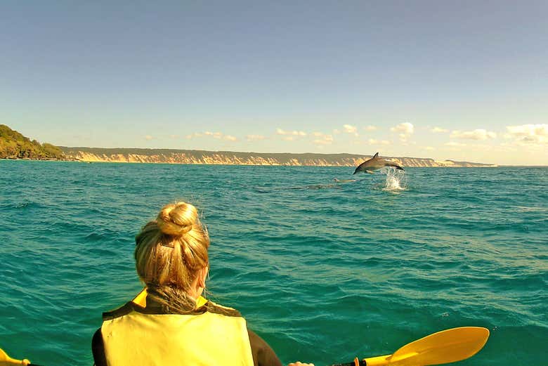 A kayaker watches as a dolphin leaps out of the water in the dis