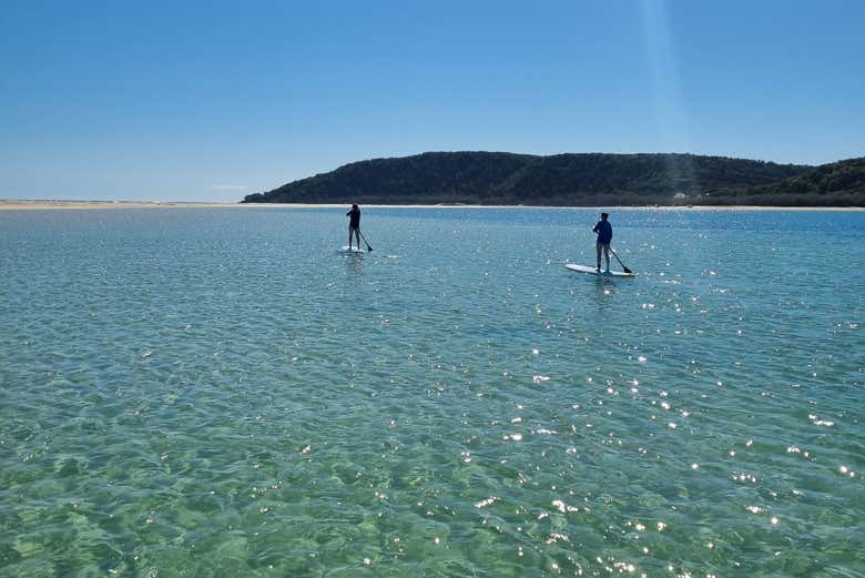 Due persone che fanno paddle board