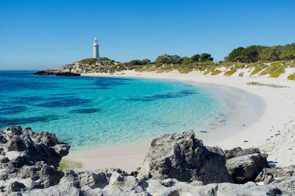 Excursión a la isla de Rottnest en hidroavión