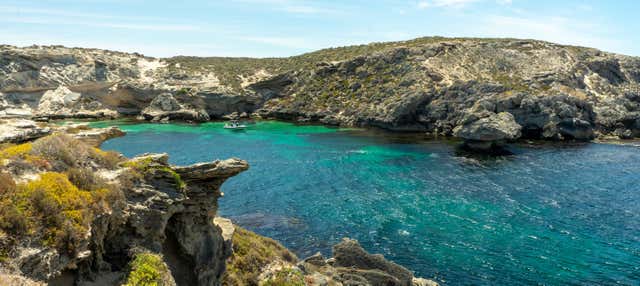 Ferry a la isla de Rottnest