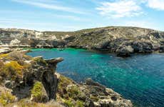 Ferry para Rottnest Island