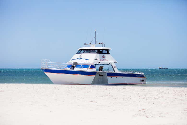 Bateau aux dunes de Lancelin