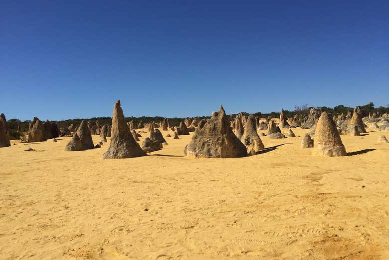 The Pinnacles Desert