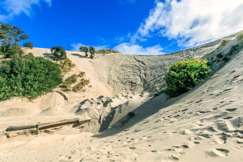 Dunas de Lancelin