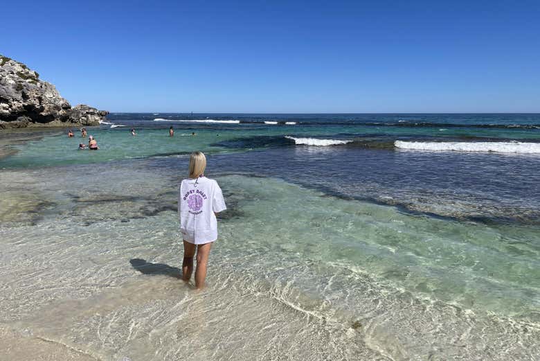 Águas turquesas na Rottnest Island