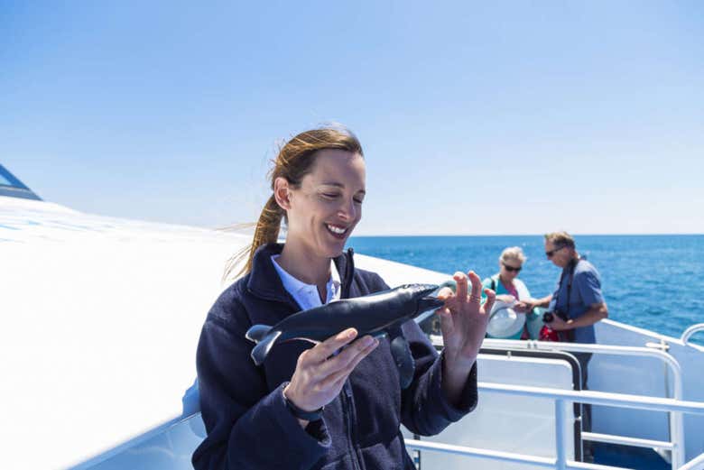 Guía en el barco