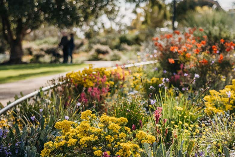 Kings Park