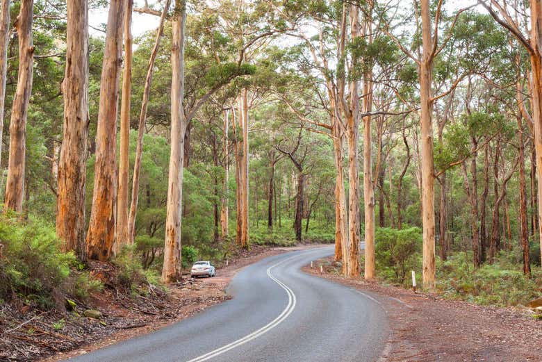 Estrada de Margaret River