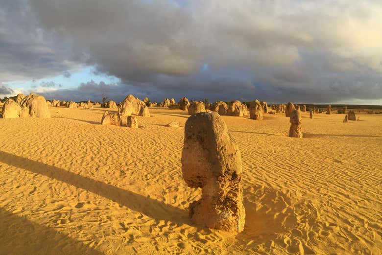 Los Pináculos en el desierto