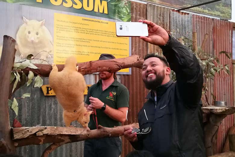 Selfie em Perth com um animal