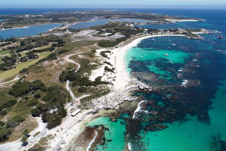 Rottnest Island Ferry from Perth Book Online at