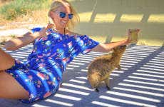 Tarjeta eSIM con Internet en Australia