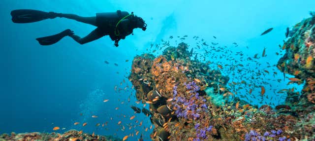 Buceo en la Gran Barrera de Coral