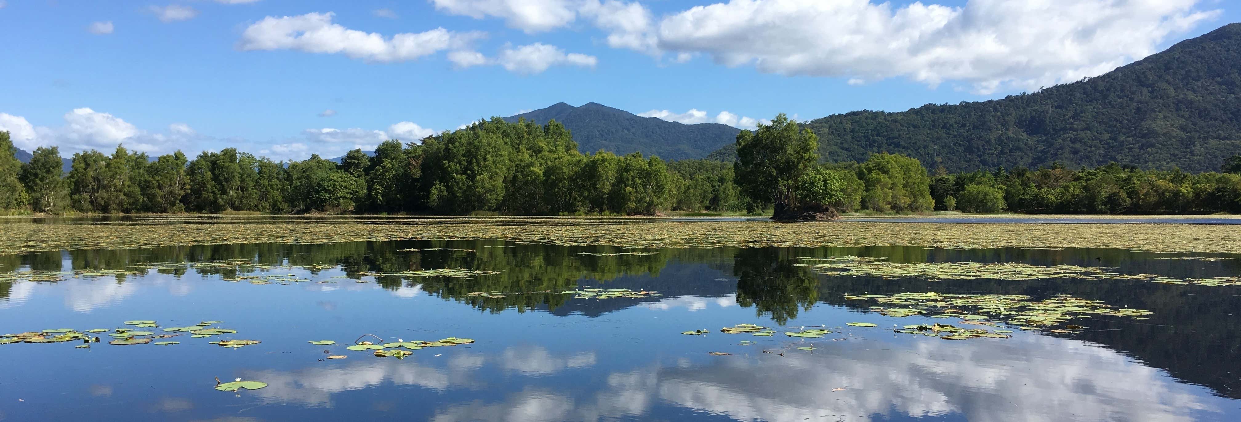 Day trips in Port Douglas