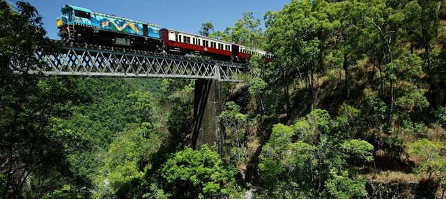Excursión a Kuranda en tren panorámico + Teleférico