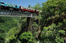 Excursión a Kuranda en tren panorámico + Teleférico