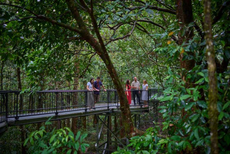 Paseando por Daintree