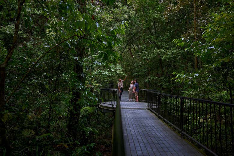 Mossman Gorge
