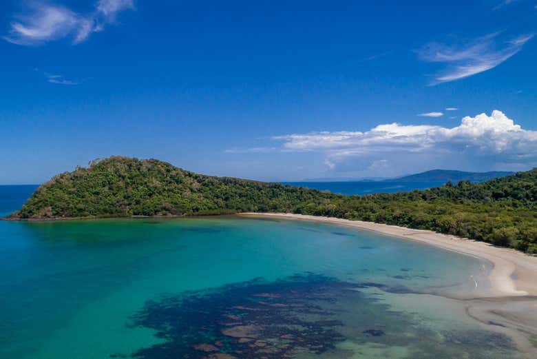 Cape Tribulation