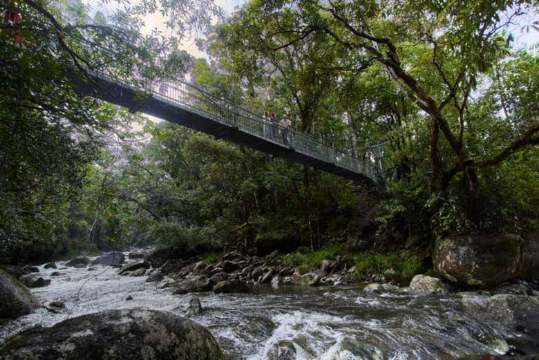 Puente en Mossman Gorge