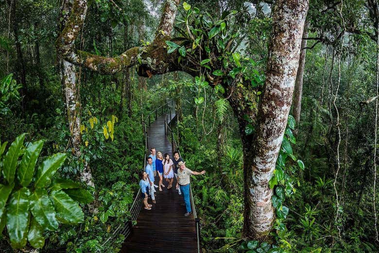 Recorriendo la selva en Kuranda