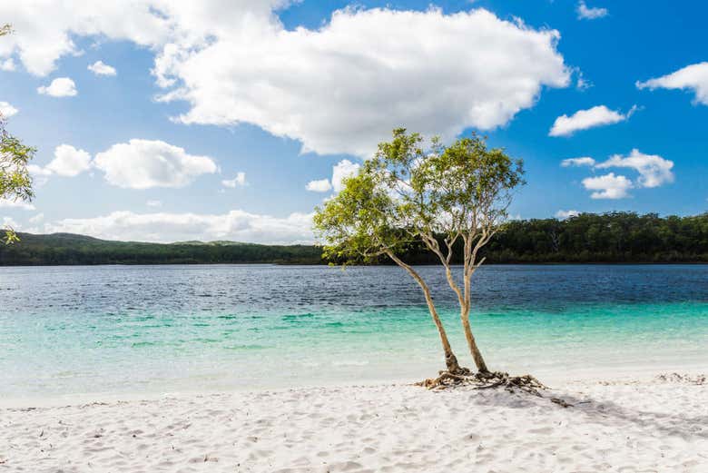 Lac Mckenzie