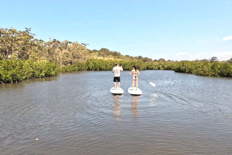 Explore peaceful waterways and enjoy a relaxing paddle surrounde