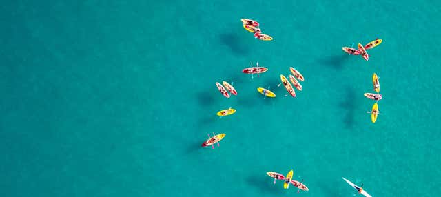 Dolphin View Kayak Tour