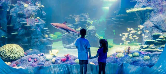 Billet pour le SEA LIFE® Sydney