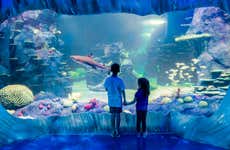 Biglietti per il SEA LIFE® Sydney
