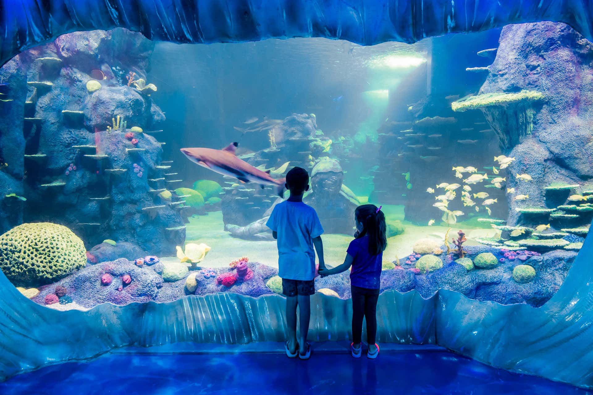 Billet pour le SEA LIFE® Sydney