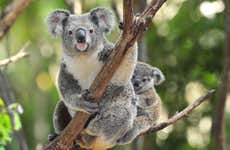 Biglietti per lo Zoo Taronga
