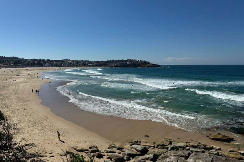 Take in breathtaking views of Bondi Beach