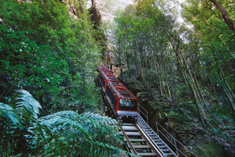 Scenic Railway en las Montañas Azules