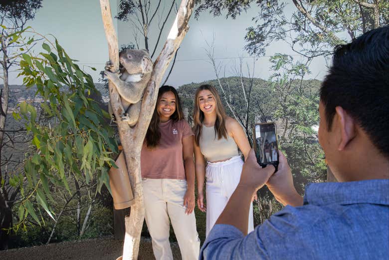 Con un simpático koala en el Sydney Zoo