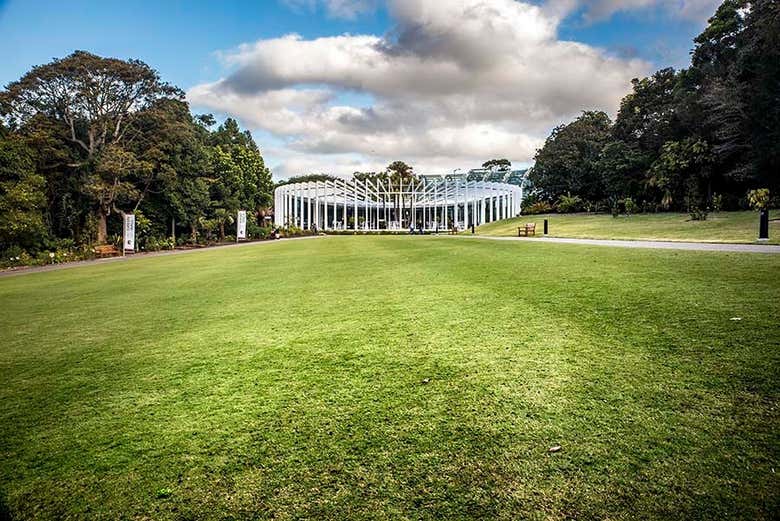 Sydney Botanical Garden
