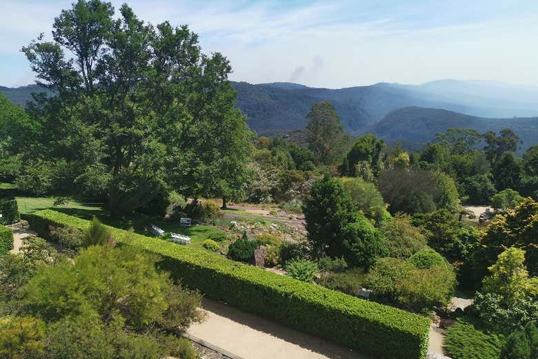 Giardino botanico
