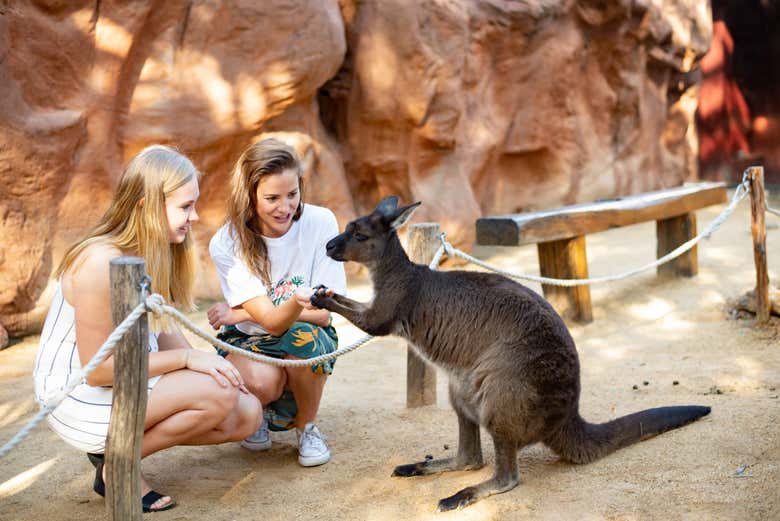 Meet Australia’s most iconic locals