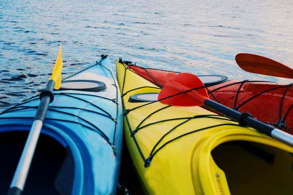 Sydney Bay Kayak Tour