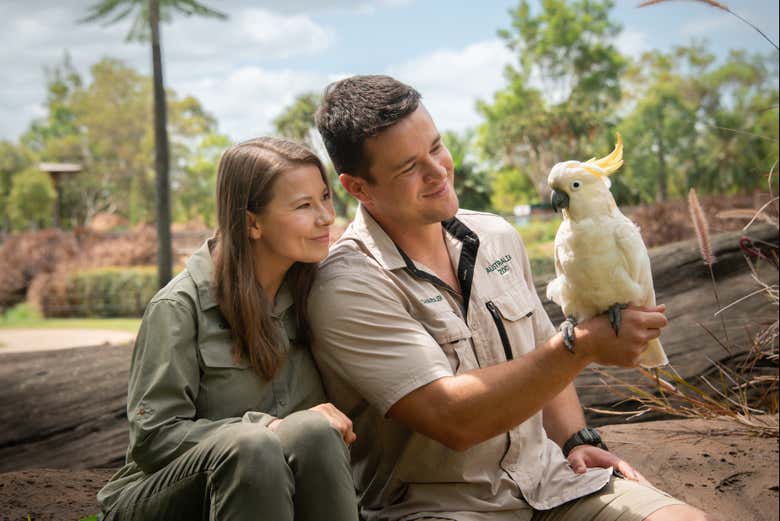 Você vai adorar o Australia Zoo