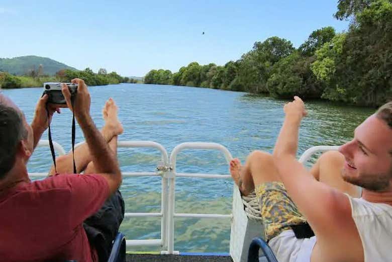 Repérez tranquillement les oiseaux