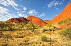 Location de vélo à Uluru-Kata Tjuta