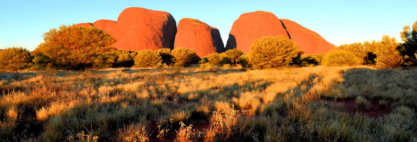 Excursiones de un día en Yulara