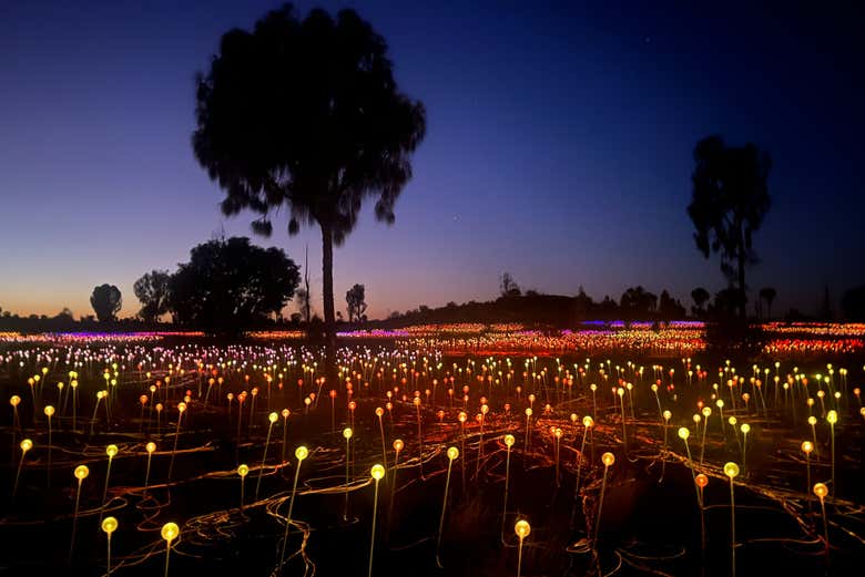 Field of Light, un lugar lleno de magia